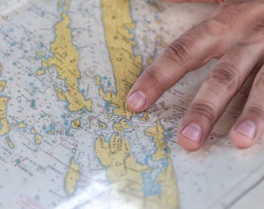 photo-1442849914809-0df6c377974f