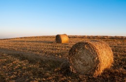 sky-field-agriculture-harvest-large