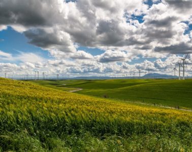 wind-farm-1209784_1280