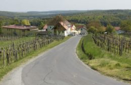 cropped-gasthaus-zum-weinberg